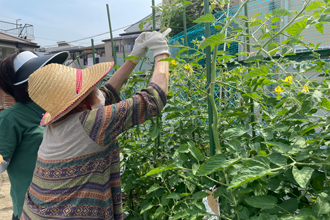 サンプルイメージ